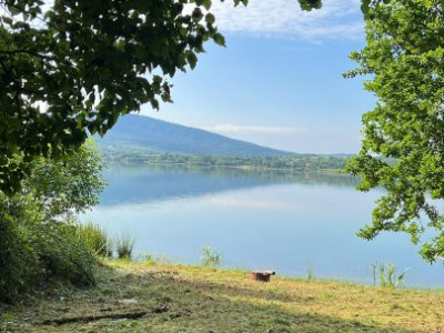 Teren de vanzare 6000 mp cu iesire la Lac Surduc imagine mica 8, foxfort.ro