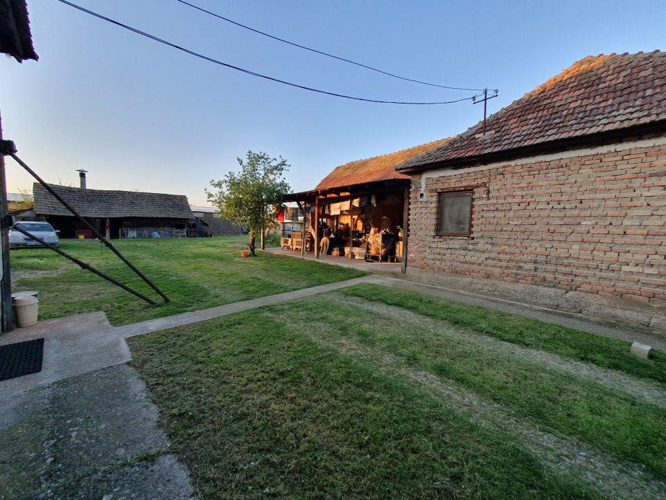 Case de vanzare Gataia Central 6