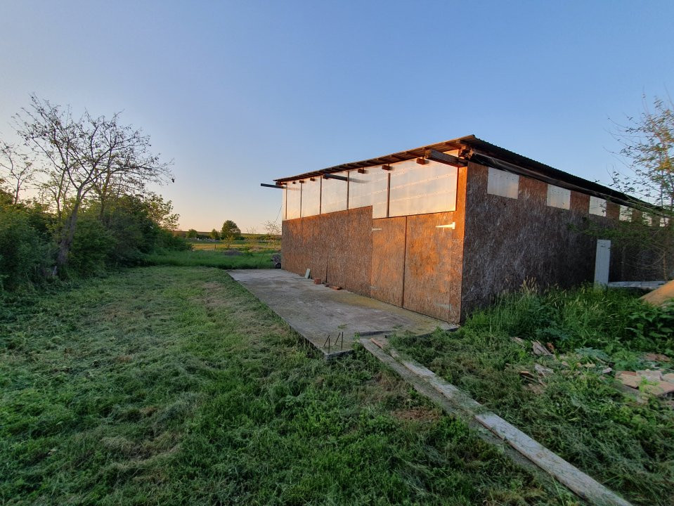 Case de vanzare Gataia Central 24