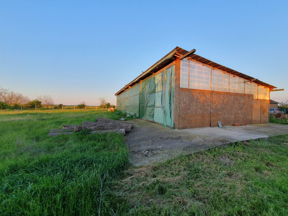 Case de vanzare Gataia Central 26