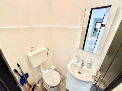 Apartamente de vanzare Timisoara Sagului imagine mica 19
