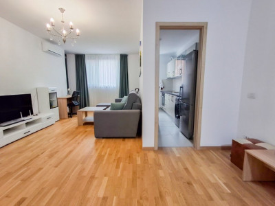 Apartament cu 2 camere de inchiriat in Timisoara - zona Take Ionescu imagine mica 11, foxfort.ro