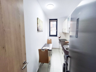 Apartament cu 2 camere de inchiriat in Timisoara - zona Take Ionescu imagine mica 12, foxfort.ro