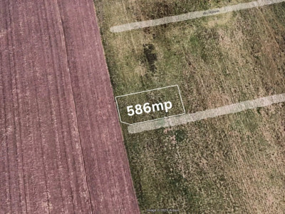 COMISION 0% Teren intravilan constructii, Sacalaz imagine mica 2, foxfort.ro