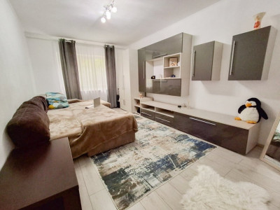 Apartamente de inchiriat Timisoara Lipovei imagine mica 2