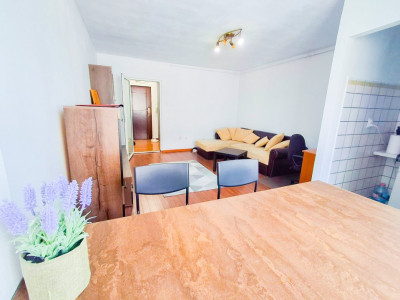 Apartamente de inchiriat Timisoara Take Ionescu imagine mica 3