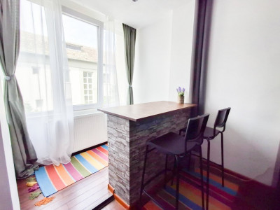 Apartamente de inchiriat Timisoara Take Ionescu imagine mica 4