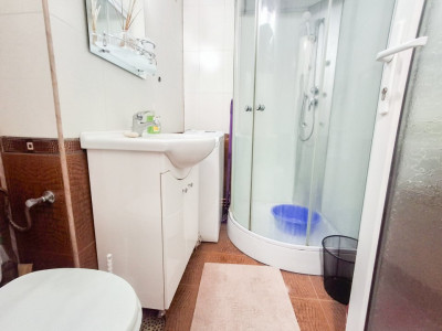 Apartamente de inchiriat Timisoara Take Ionescu imagine mica 6