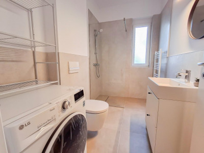 Apartamente de inchiriat Timisoara Lipovei imagine mica 10
