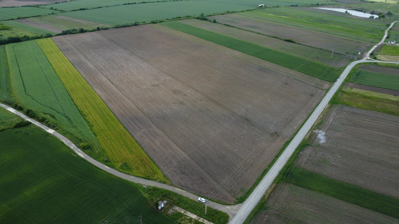 Terenuri de vanzare Bucovat (Remetea Mare) Sud 4