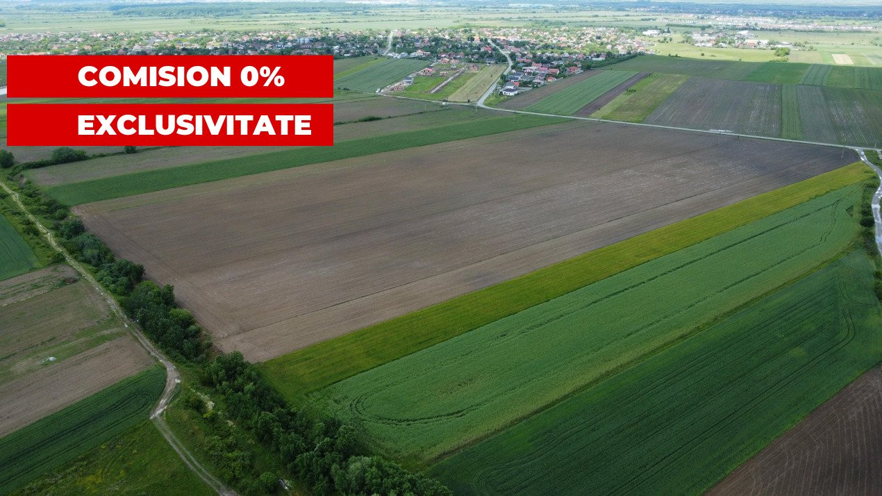 COMISION 0% Teren intravilan 40.600 mp cu front de 84,5 ml, zona Bucovat 3, foxfort.ro
