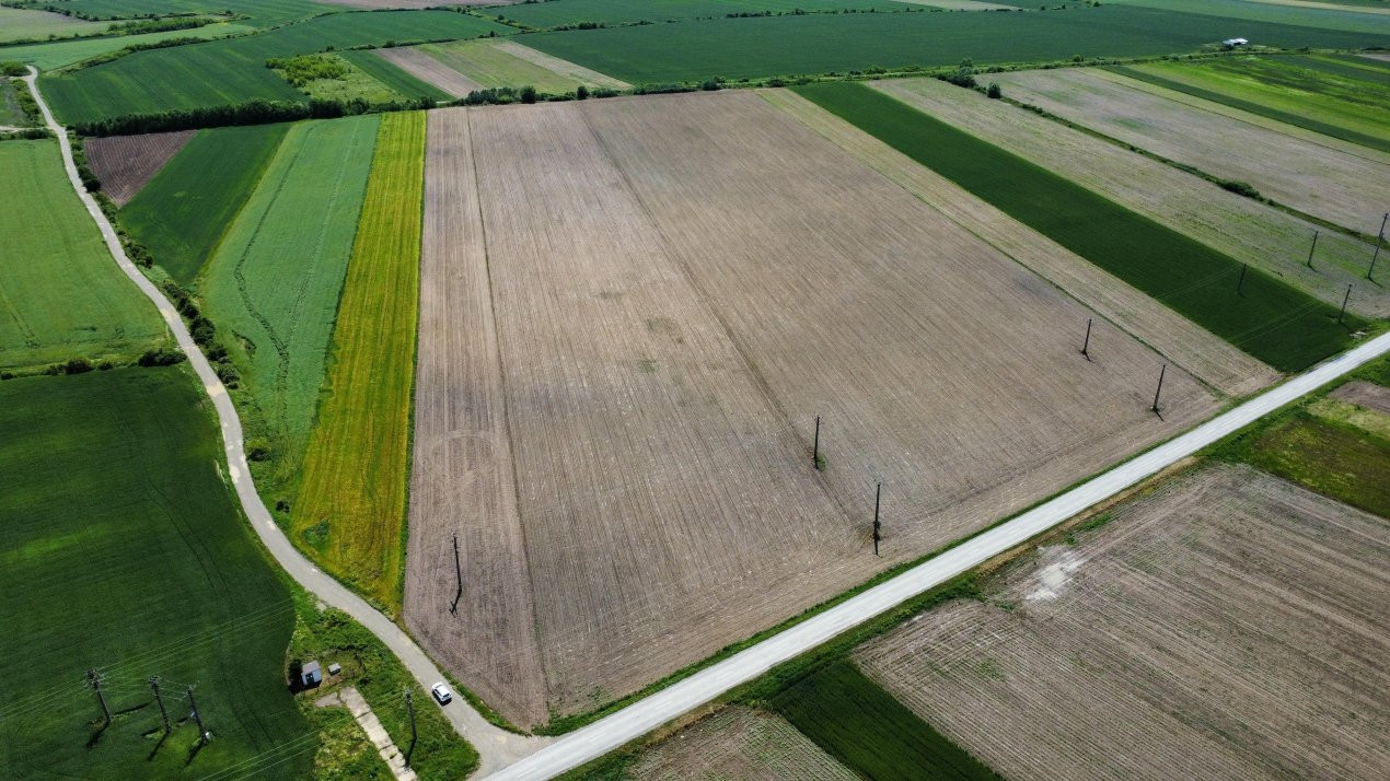 COMISION 0% Teren intravilan 40.600 mp cu front de 84,5 ml, zona Bucovat 5, foxfort.ro