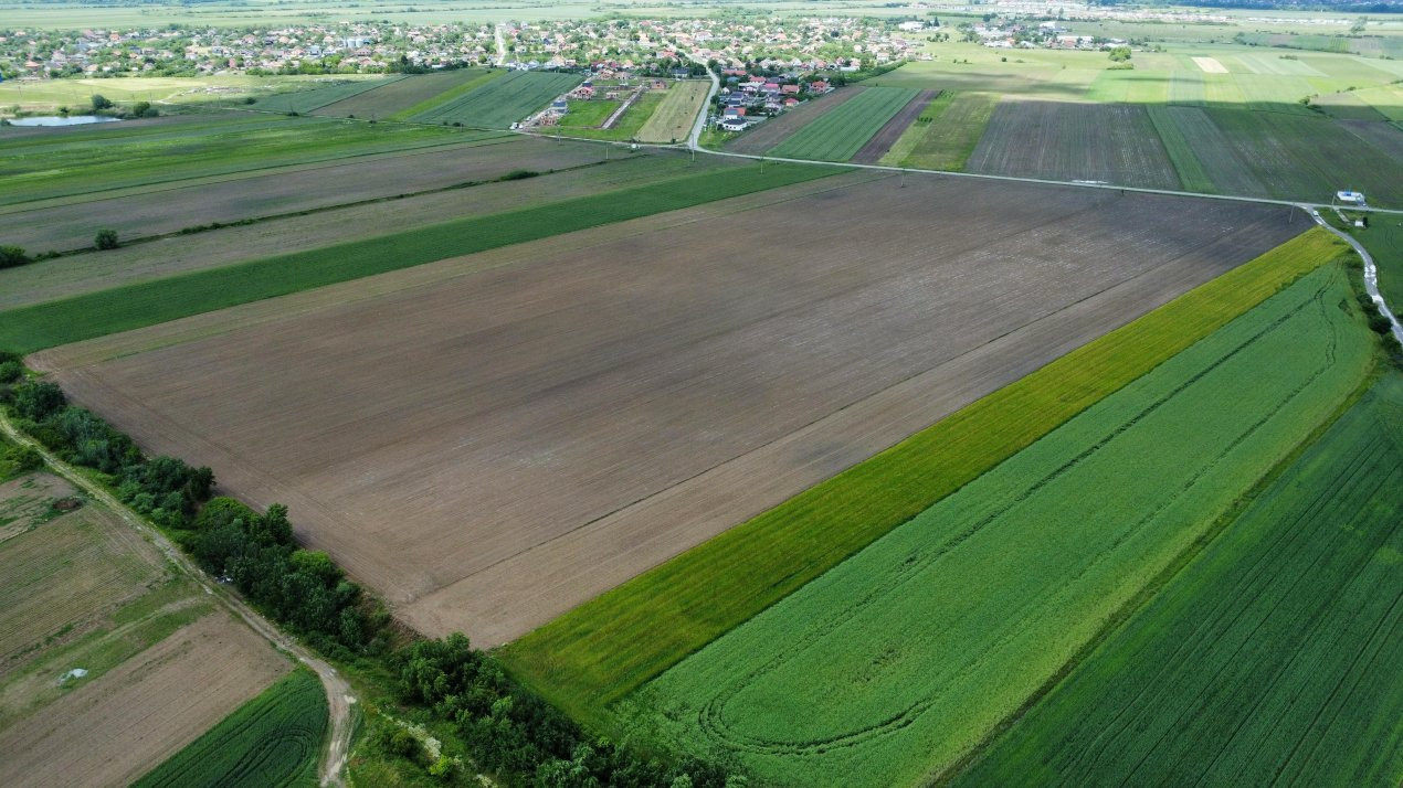 COMISION 0% Teren intravilan 40.600 mp cu front de 84,5 ml, zona Bucovat 6, foxfort.ro