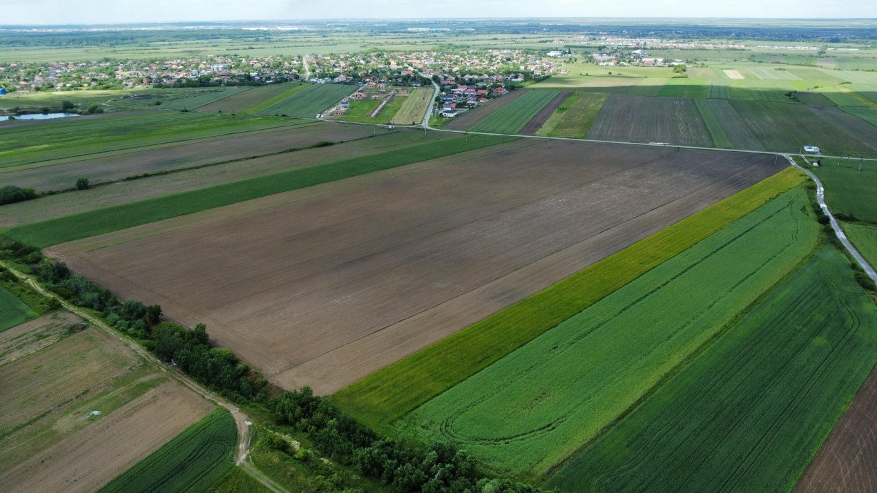 COMISION 0% Teren intravilan 40.600 mp cu front de 84,5 ml, zona Bucovat 8, foxfort.ro