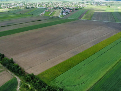 COMISION 0% Teren intravilan 40.600 mp cu front de 84,5 ml, zona Bucovat imagine mica 6, foxfort.ro