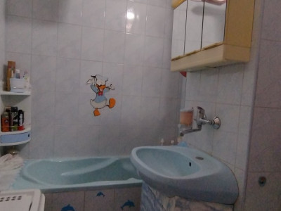 Apartamente de vanzare Timisoara Aradului imagine mica 8