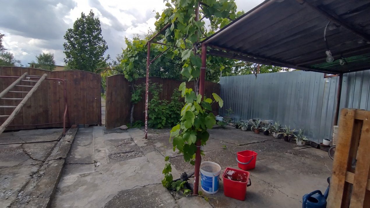 Case de vanzare Timisoara Mehala 18