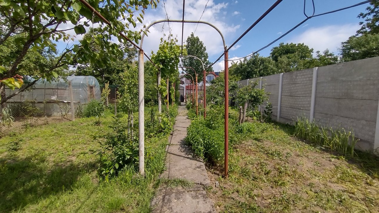 Case de vanzare Timisoara Mehala 19