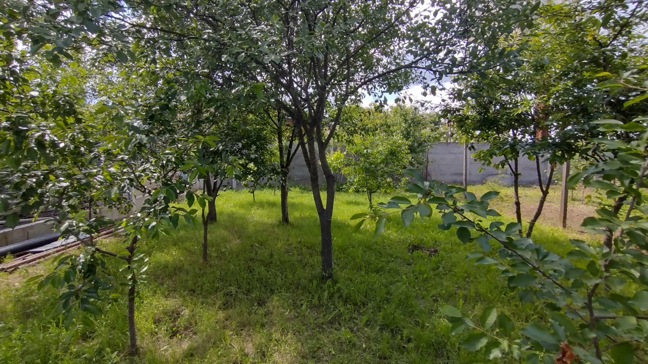 Case de vanzare Timisoara Mehala 20