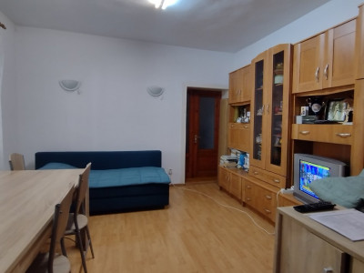 Case de vanzare Timisoara Mehala imagine mica 6