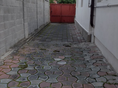 Case de vanzare Timisoara Mehala imagine mica 23