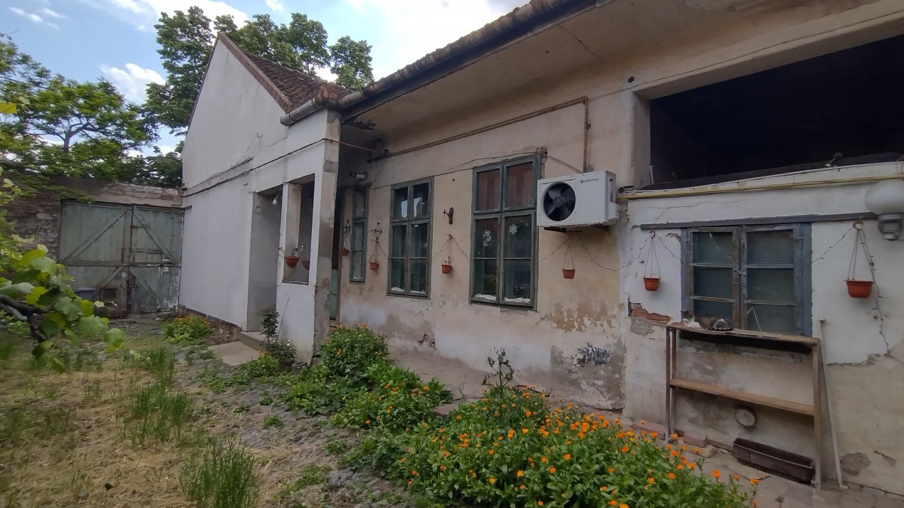 Case de vanzare Timisoara Dorobantilor 1