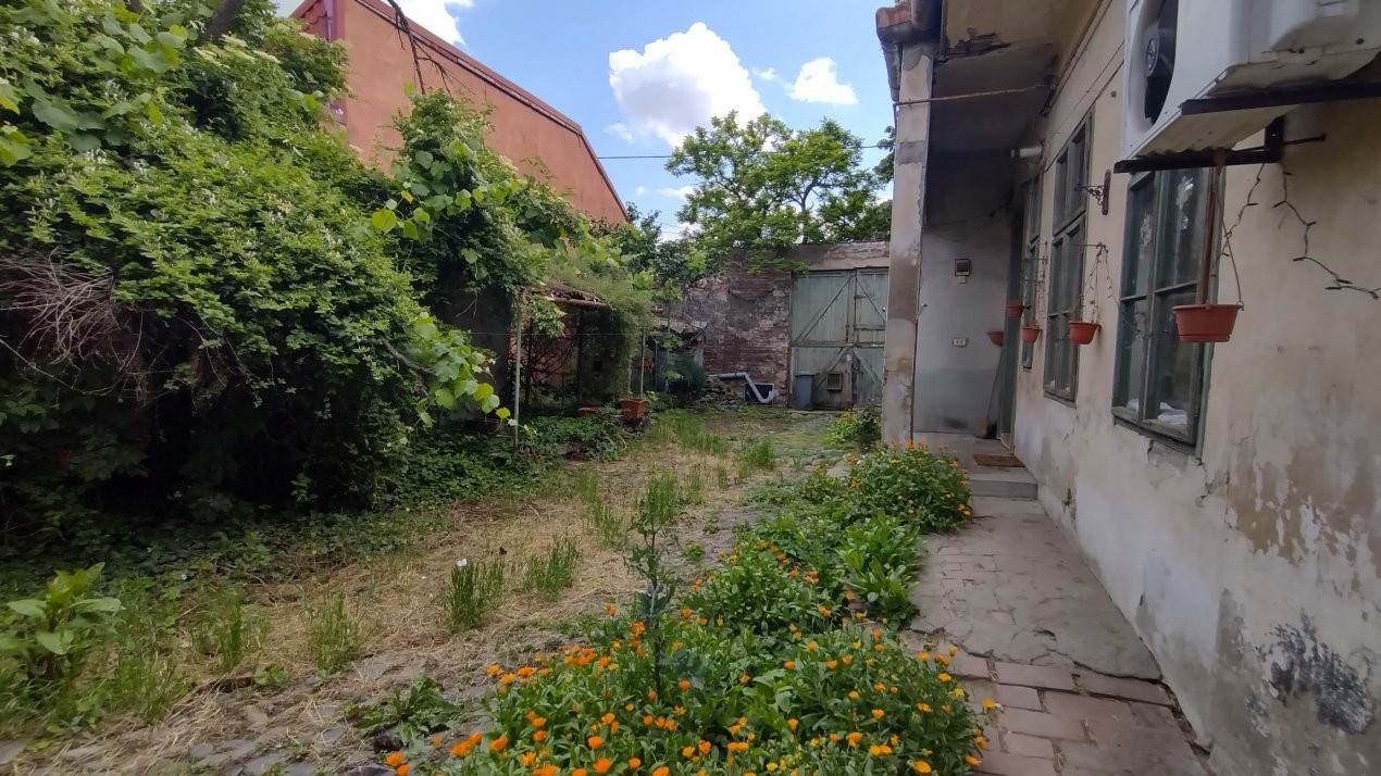 Case de vanzare Timisoara Dorobantilor 2