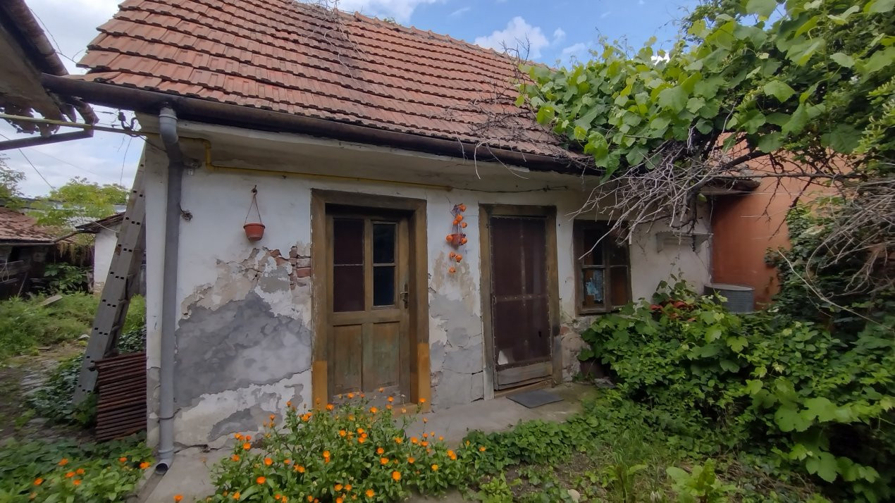 Case de vanzare Timisoara Dorobantilor 3