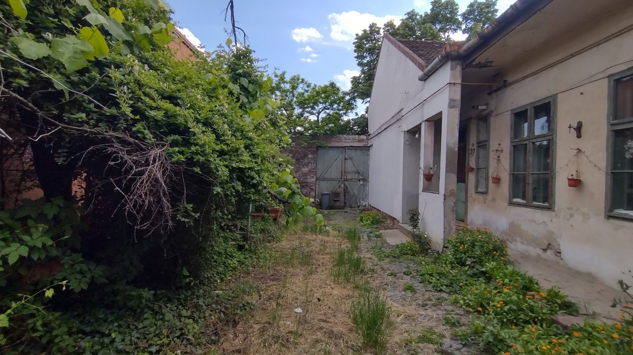 Case de vanzare Timisoara Dorobantilor 11