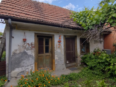 Case de vanzare Timisoara Dorobantilor imagine mica 3