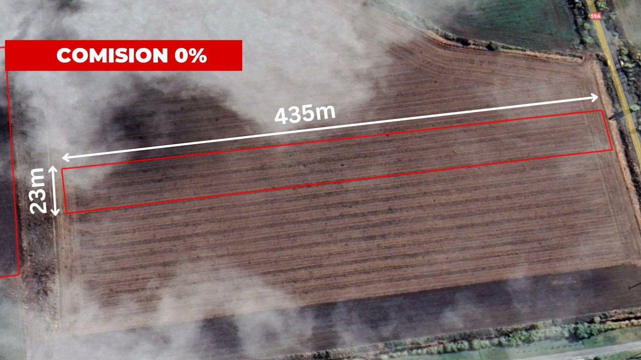 COMISION 0% Teren extravilan agricol 1 ha, Beregsau Mare - Pozitionare excelenta 1, foxfort.ro