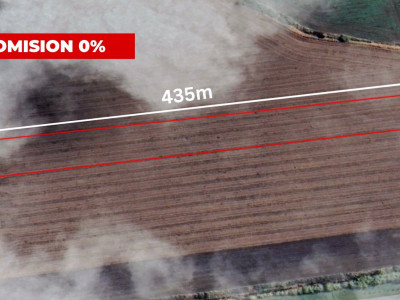 COMISION 0% Teren extravilan agricol 1 ha, Beregsau Mare - Pozitionare excelenta