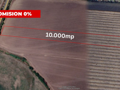 COMISION 0% Teren extravilan agricol 1 ha, Beregsau Mare - Pozitionare excelenta imagine mica 2, foxfort.ro