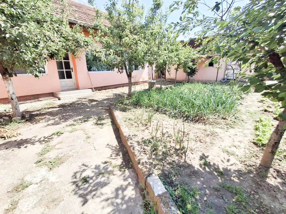 Casa individuala de vanzare in Timisoara, zona Crisan 13, foxfort.ro