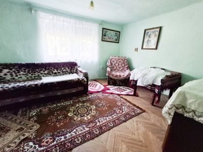 Casa individuala de vanzare in Timisoara, zona Crisan imagine mica 2, foxfort.ro