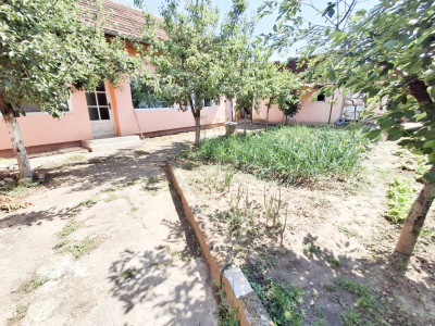 Casa individuala de vanzare in Timisoara, zona Crisan imagine mica 13, foxfort.ro