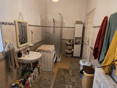 Spatiu comercial + casa individuala 3 camere, garaj dublu, Freidorf imagine mica 11, foxfort.ro