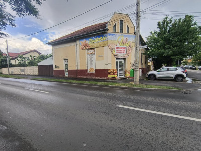 Spatiu comercial + casa individuala 3 camere, garaj dublu, Freidorf imagine mica 28, foxfort.ro