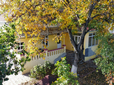 Casa individuala 3 camere, garaj + Spatiu comercial, Freidorf imagine mica 8, foxfort.ro