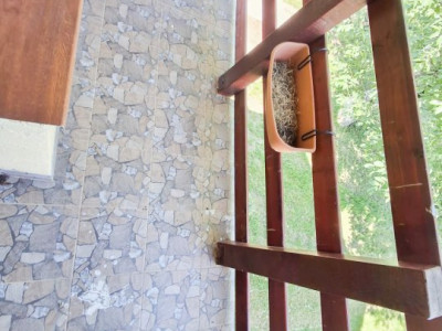 Casa individuala cu 4 camere de vanzare in Giarmata, zona Nord-Vest imagine mica 15, foxfort.ro