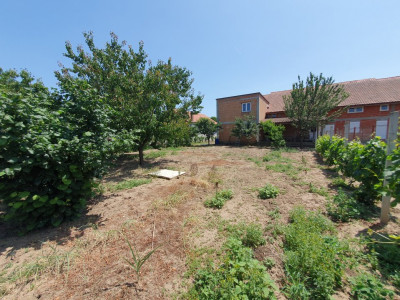 COMISION 0% Duplex la Rosu, Peciu Nou - Total de 231 mp utili, teren 1000 mp imagine mica 30, foxfort.ro