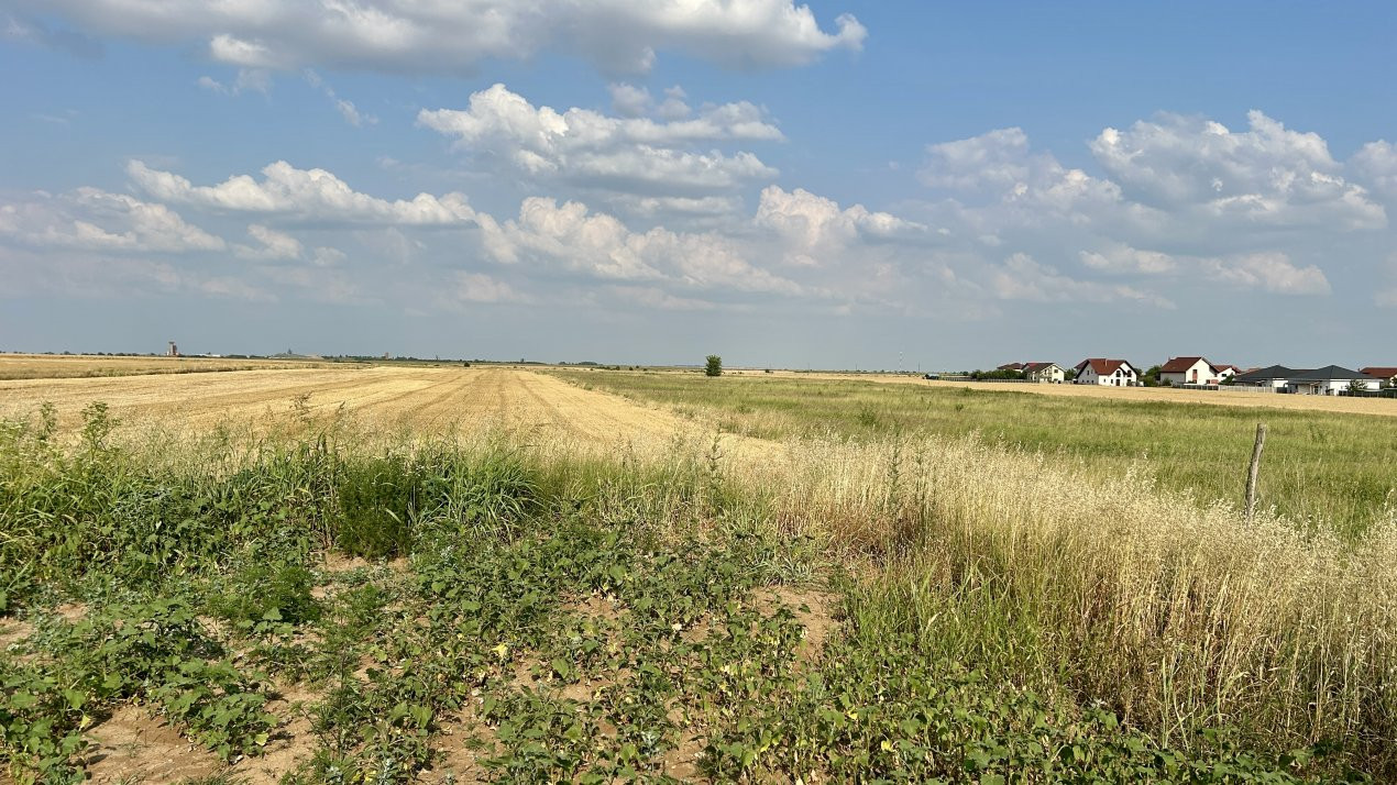 COMISION 0% Teren intravilan pentru case/duplexuri -  610 mp - Sanandrei 3, foxfort.ro