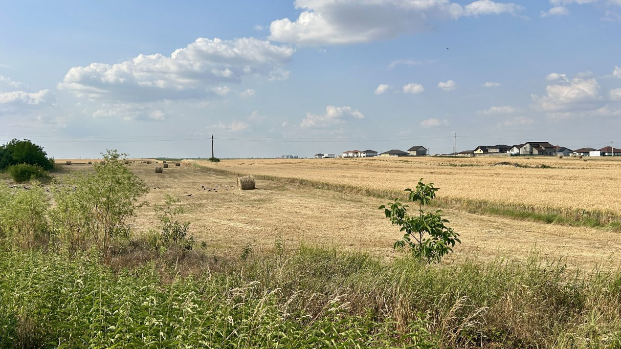 COMISION 0% Teren intravilan pentru case/duplex - 610 mp - Sanandrei 3, foxfort.ro