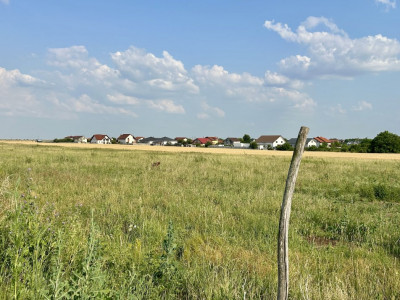 COMISION 0% Teren intravilan pentru case/duplexuri -  610 mp - Sanandrei imagine mica 2, foxfort.ro