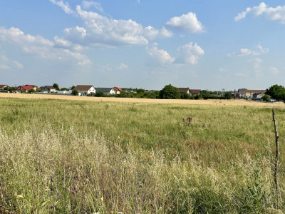 COMISION 0% Teren intravilan pentru case/duplexuri -  610 mp - Sanandrei imagine mica 3, foxfort.ro