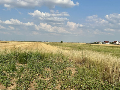 COMISION 0% Teren intravilan pentru case/duplexuri -  610 mp - Sanandrei imagine mica 4, foxfort.ro