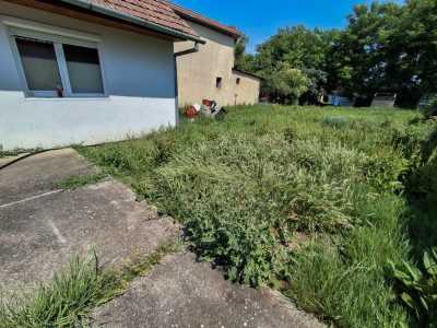 Casa individuala cu teren 432 mp in Timisoara, cartier Plopi imagine mica 5, foxfort.ro