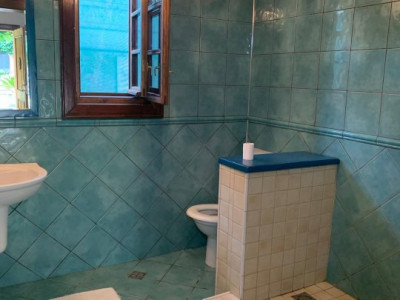 Casa individuala de inchiriat cu o camera - zona Ghiroda imagine mica 8, foxfort.ro