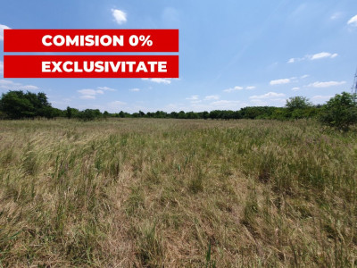 COMISION 0% Teren de vanzare intravilan de 5000 mp in Chisoda imagine mica 10, foxfort.ro