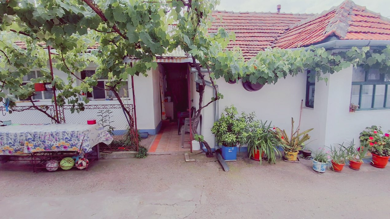 COMISION 0% - Casa individuala cu teren 1259 mp - Recas 10, foxfort.ro